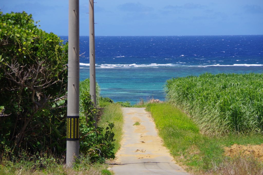 西表島で知らないと損する海を綺麗に見る方法とは Powderreef